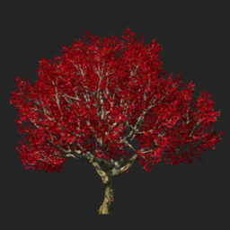 Trees and More Custom Cosmetic Skins