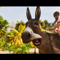 Donkey