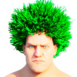 Raas Wig Catalogue - Hairstyle Custom Cosmetic