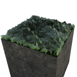 Grass Cosmetic Foundation